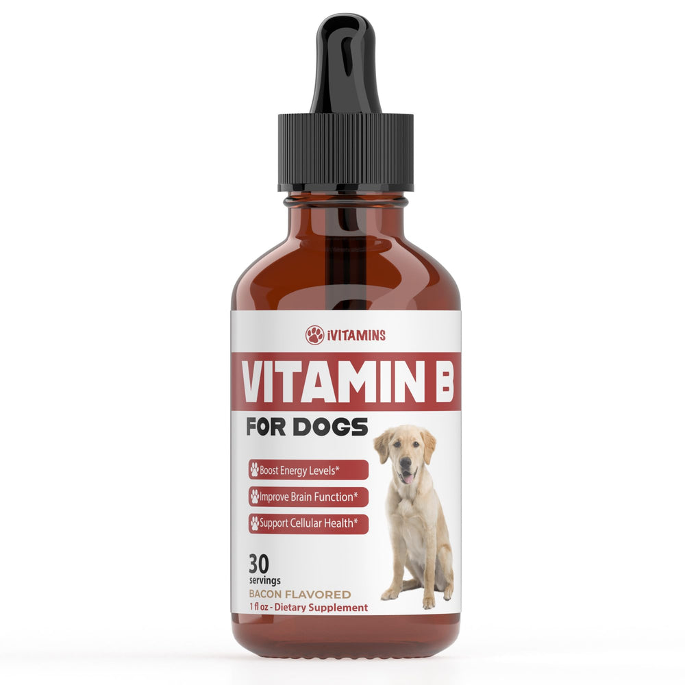 iVitamins vitamine B pour chien – flacon gouttes au goût bacon, administration facile.