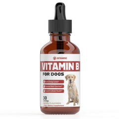 iVitamins vitamine B pour chien – flacon gouttes au goût bacon, administration facile.