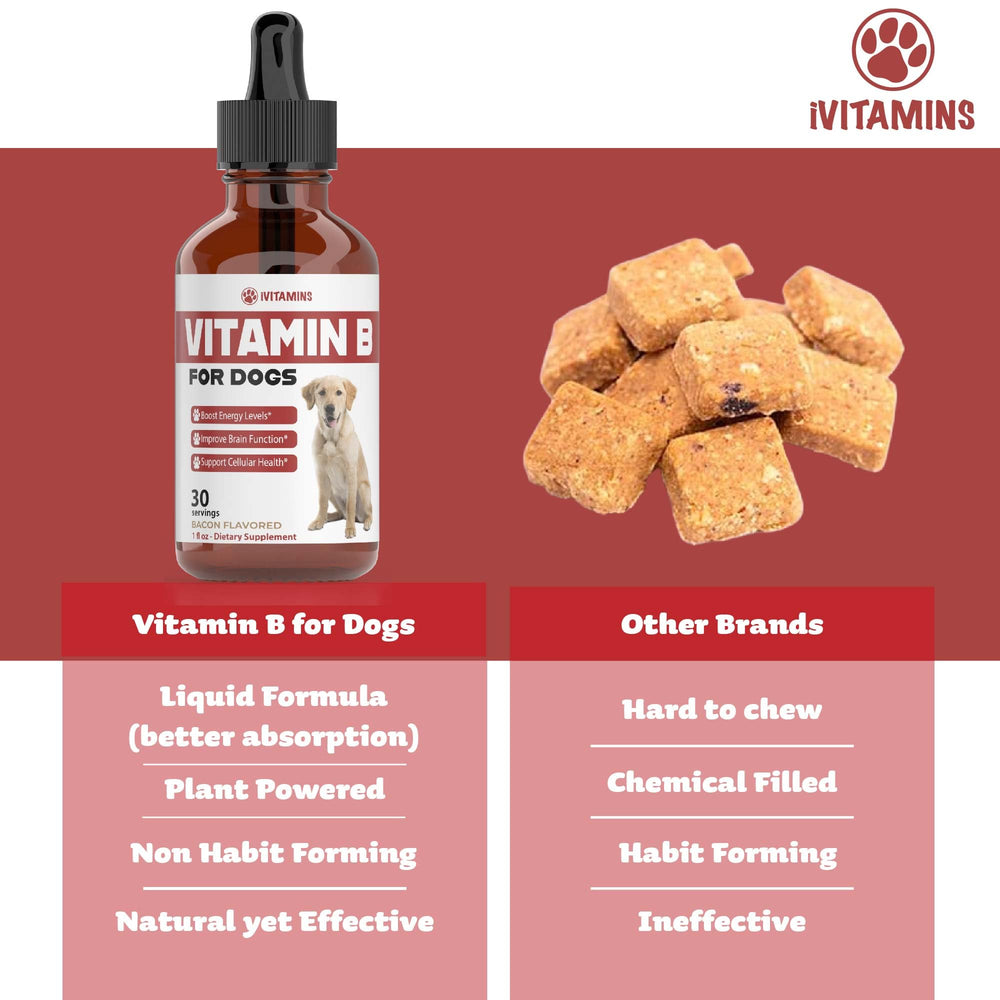 iVitamins chien fonction cérébrale soutenue par vitamine B.