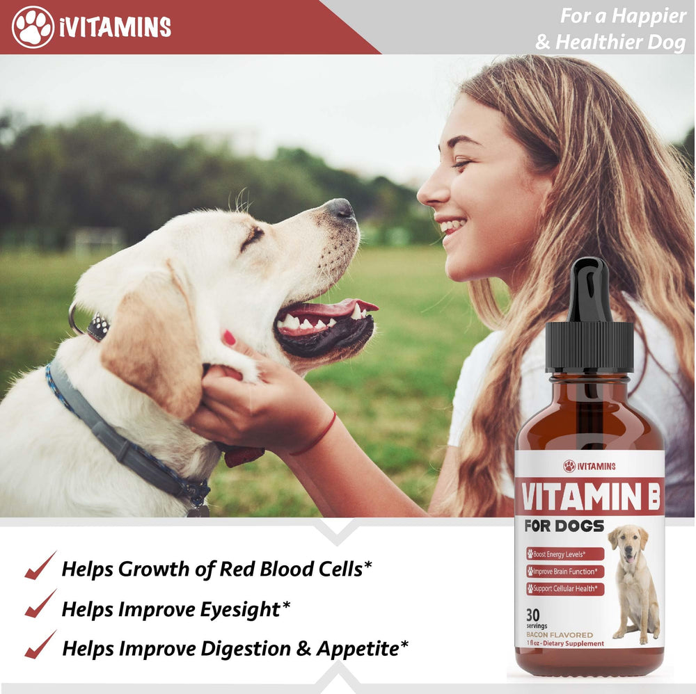 iVitamins santé cellulaire du chien renforcée par vitamine B.