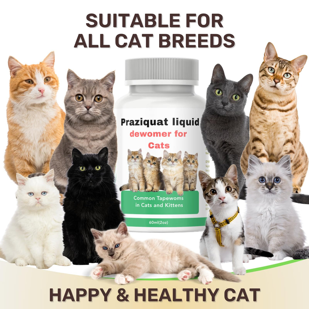 IVULTRA Soutien immunitaire pour chats: formulation adaptée au bien-être félin.