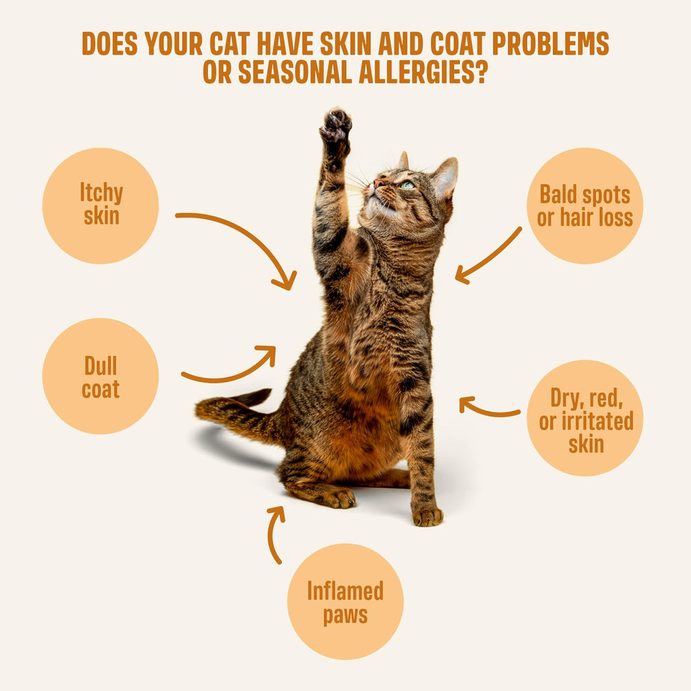 ivvi Skin & Coat – zinc et biotine pour nourrir le pelage.