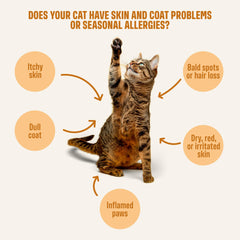 ivvi Skin & Coat – zinc et biotine pour nourrir le pelage.