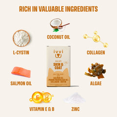 ivvi Skin & Coat – huile de saumon et algues pour peau hydratée et pelage fort.
