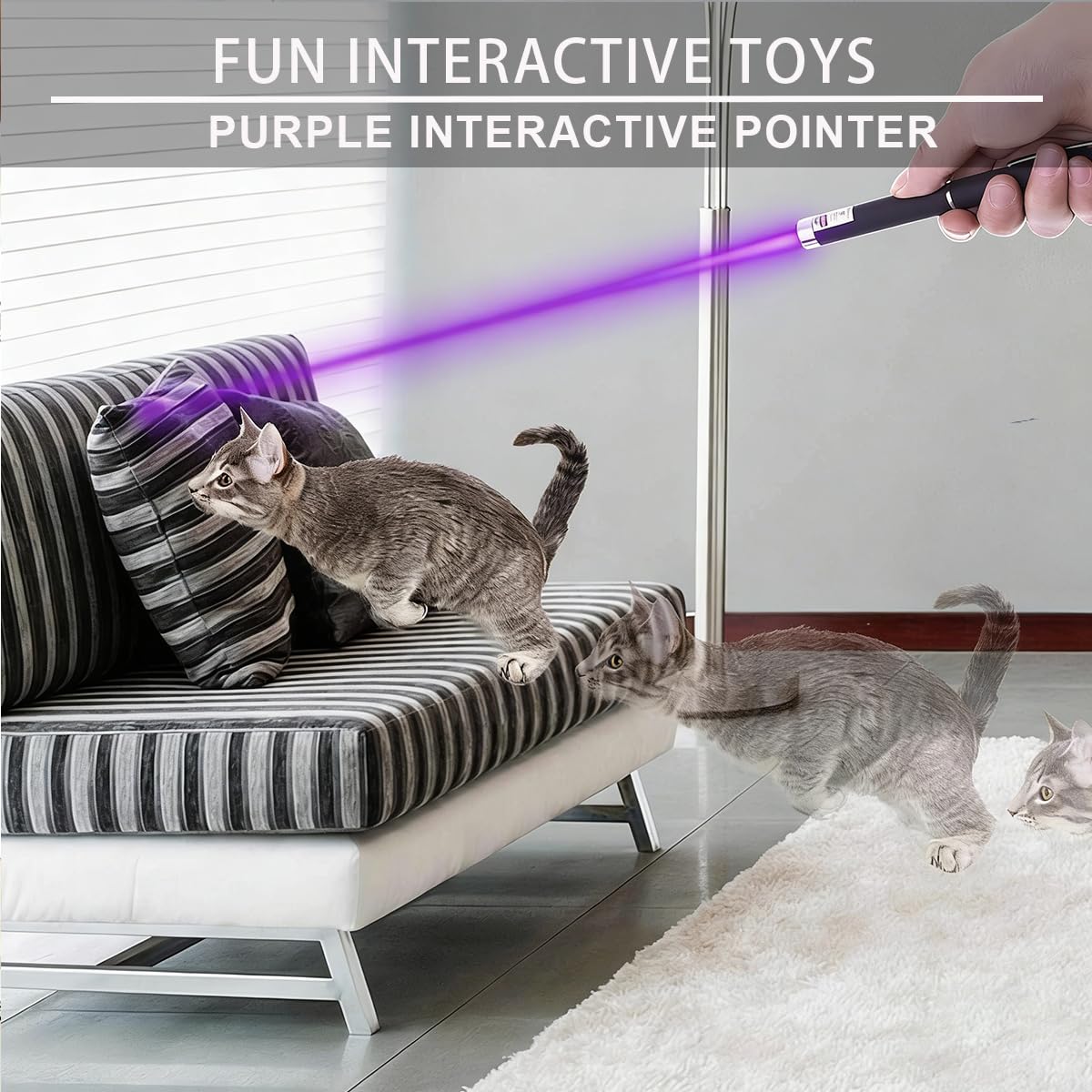 IVVTRYI curseur-laser animaux-interieur—jouet d’entraînement polyvalent.