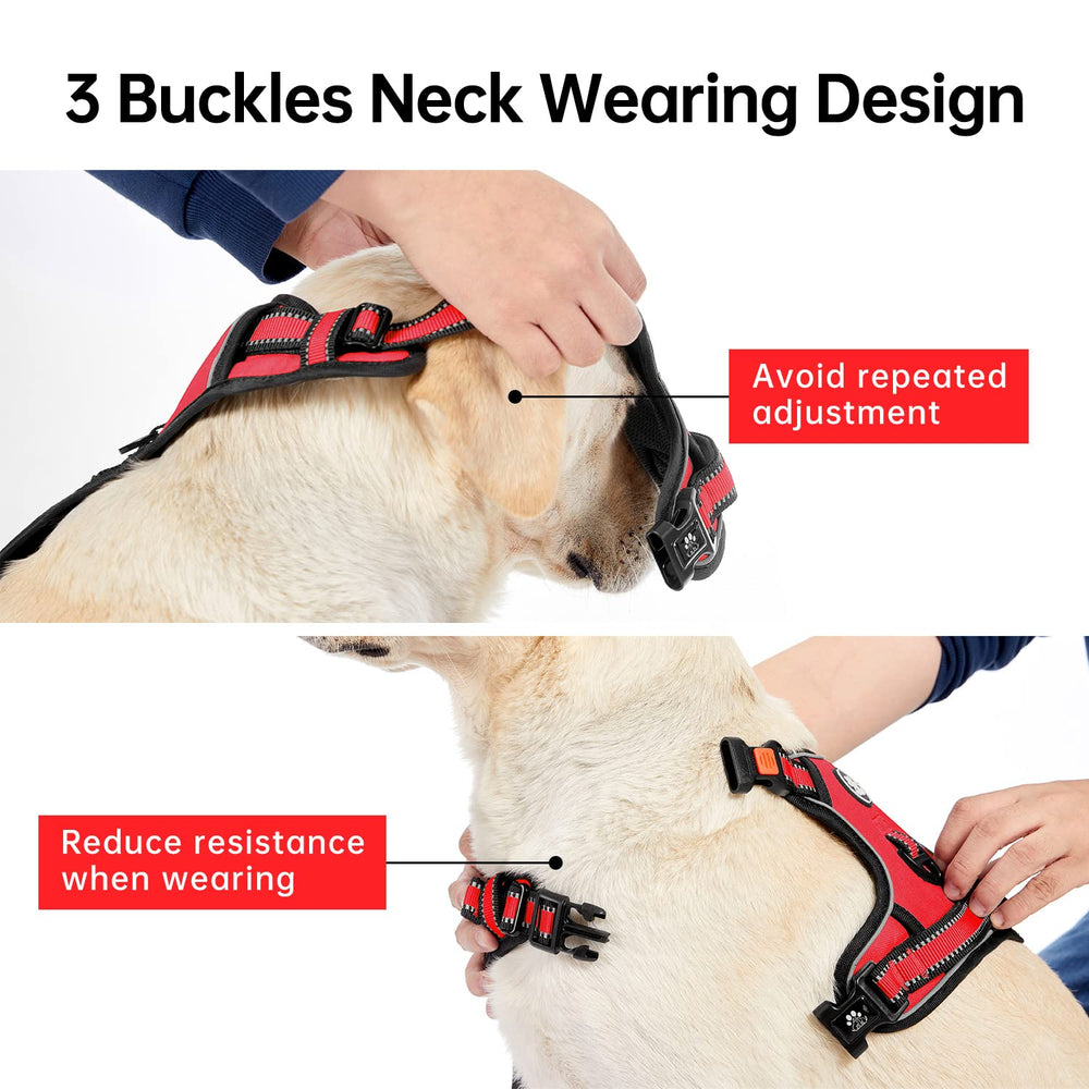 IVY&LANE harnais petit chien - laisse incluse, utilisation pratique en promenade.