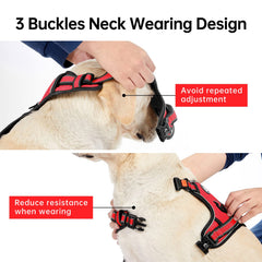 IVY&LANE harnais petit chien - laisse incluse, utilisation pratique en promenade.