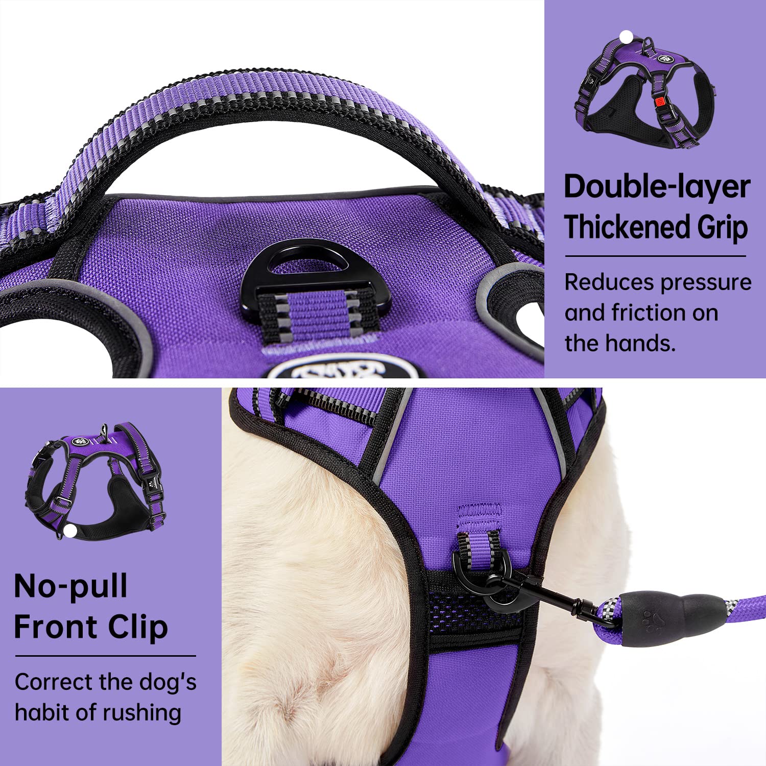 IVY&LANE harnais violet avec bandes réfléchissantes à 360°, visibilité accrue
