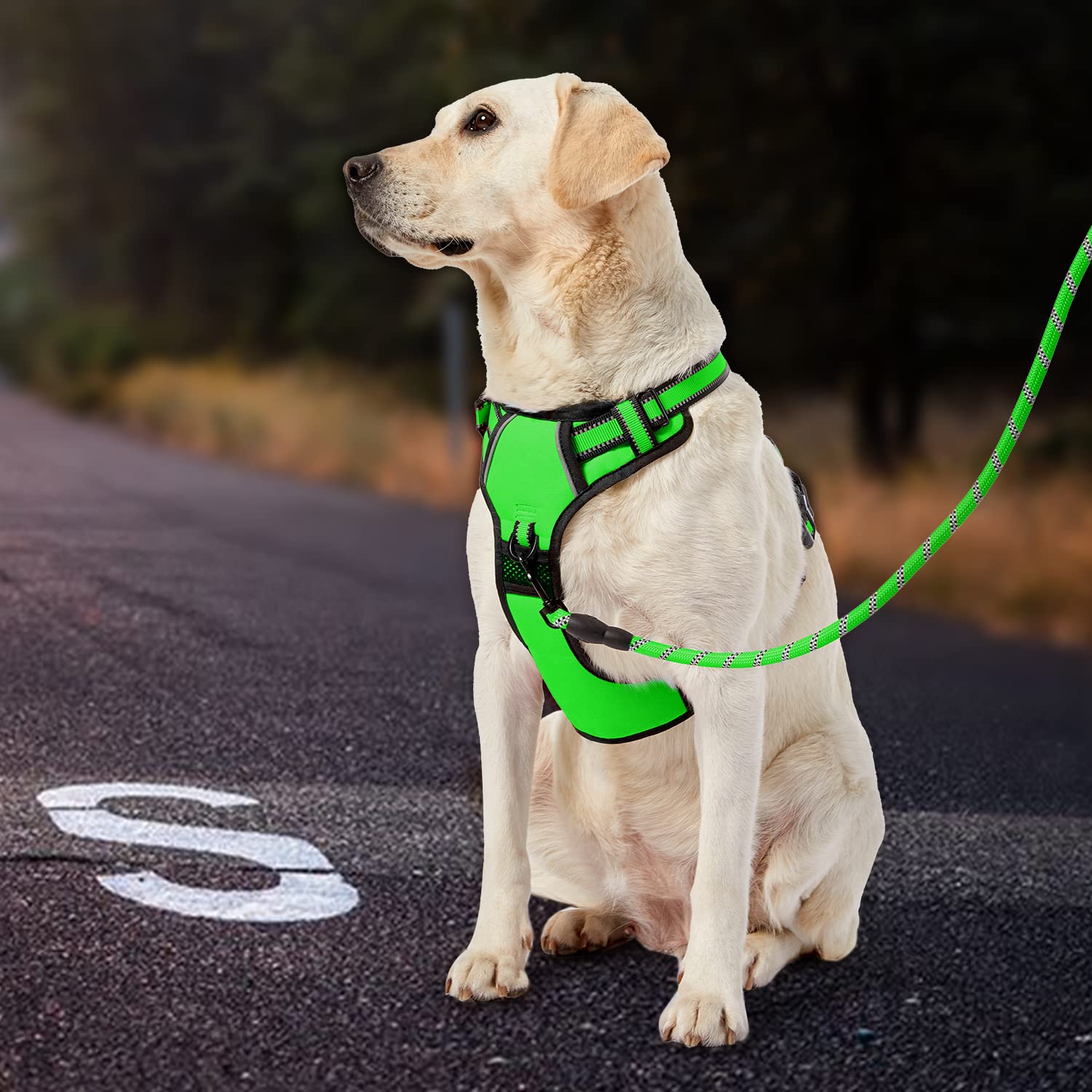 Bouton verrouillable IVY&LANE – sécurité accrue pour éviter les fuites accidentelles