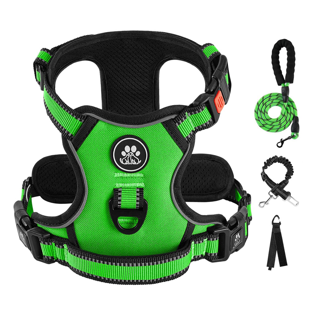 Harnais IVY&LANE pour chien moyen – clip avant pour limiter les tirages et diriger le chien