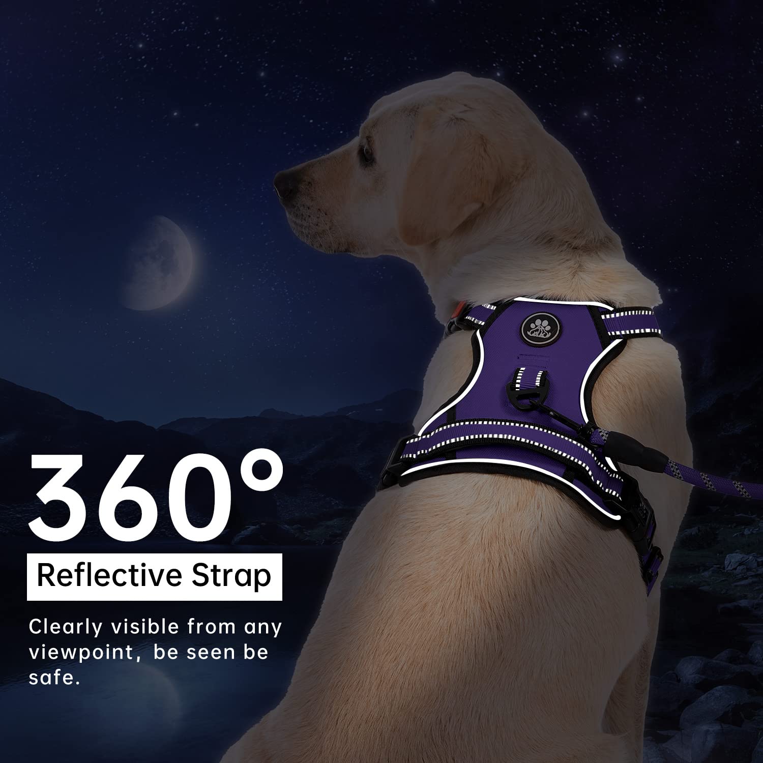 Poignée douce IVY&LANE pour un contrôle rapproché et maintien stable.