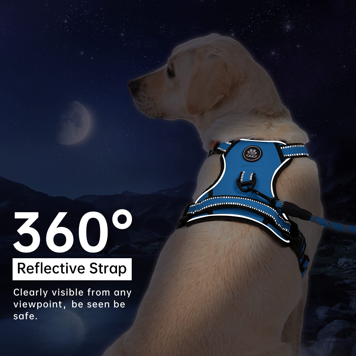 Laisse et ceinture de sécurité incluses dans l ensemble bleu.