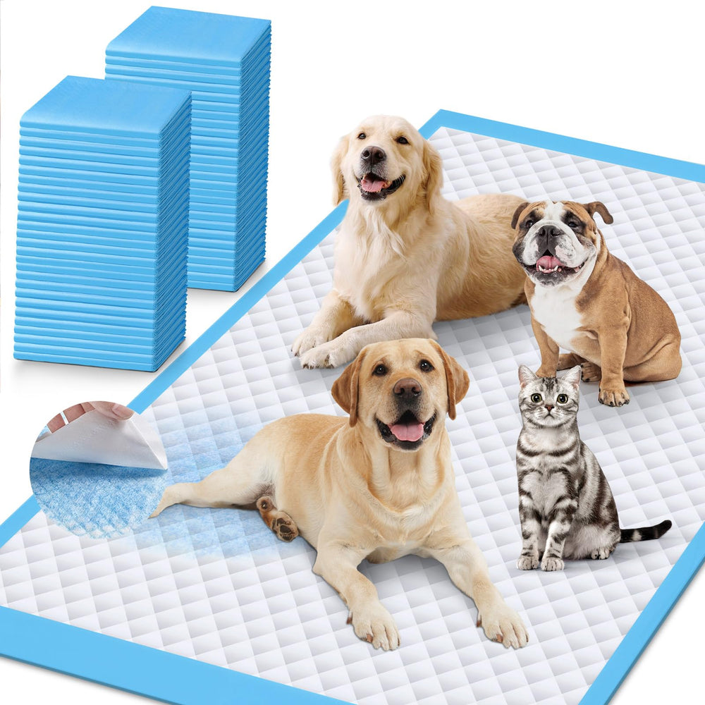 iweepet tapis-toilette chien 37x54: surface douce et absorbante.