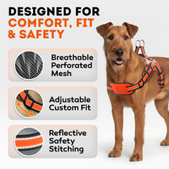 IWOOFI harnais ventilation mesh respire et garde les chiens frais