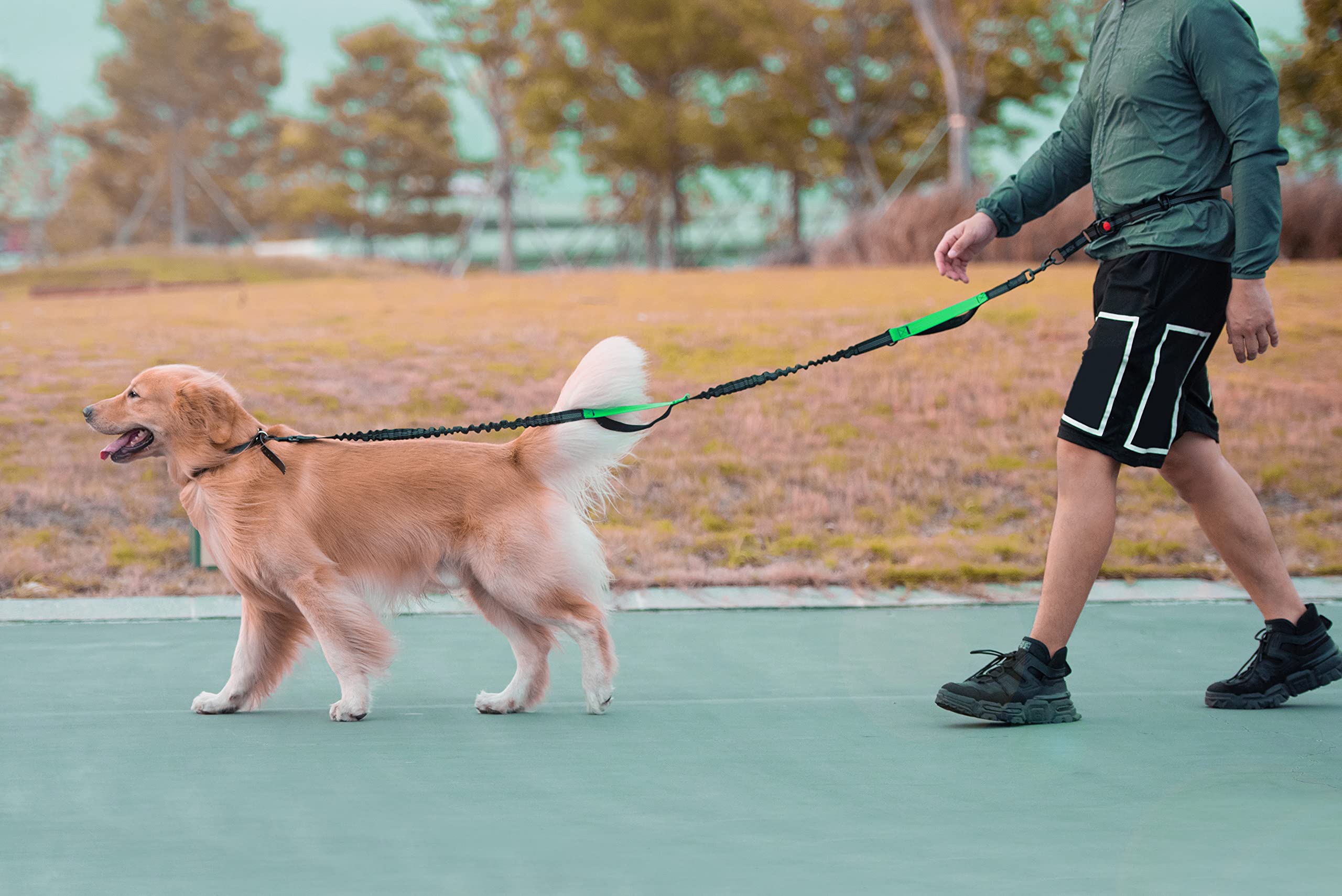 Longe durable iYoPets adaptée aux chiens jusqu’à 150 lb.
