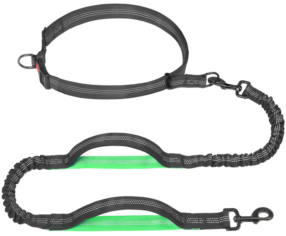 iYoPets longe mains-libres pour promenade, liberté et contrôle.