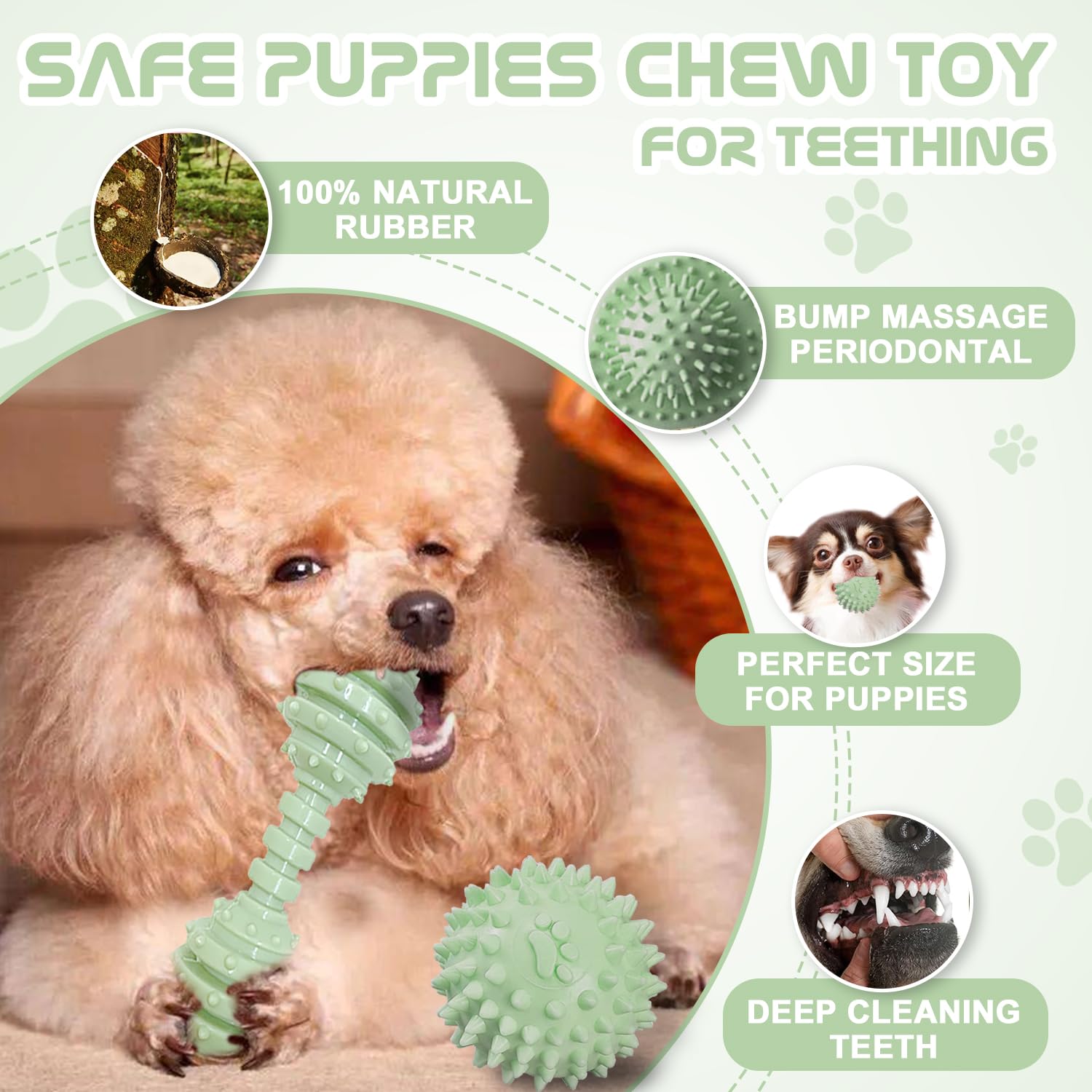 Matériau tpr résistant: jouet durable et facile à nettoyer pour chiots actifs.