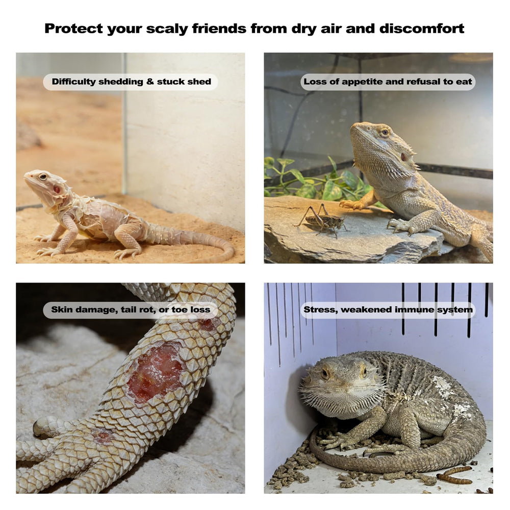 Support de montage J&A Reptile Mister pour terrarium sûr et stable.