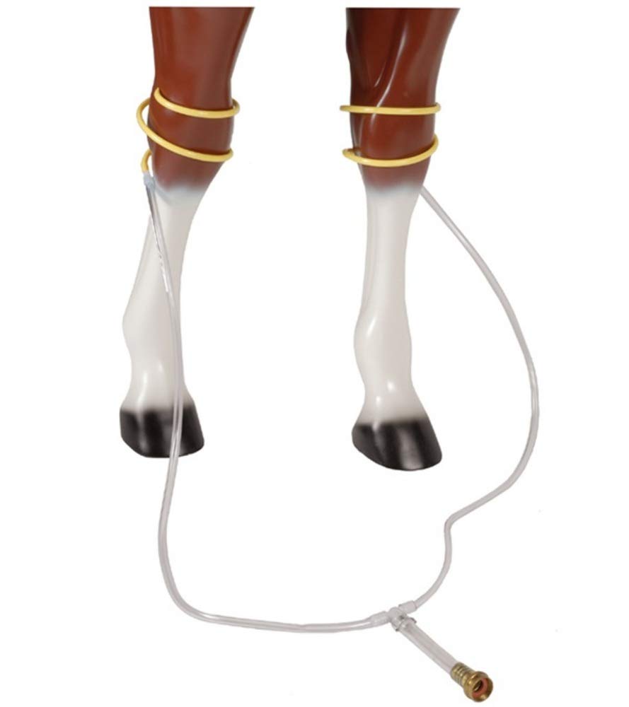 Jack's Leg Soaker montre un flux d'eau frais et homogène pour chevaux