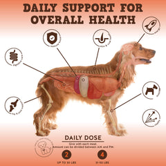 Gommes Jack&Pup Bark Buddies à texture douce facilitant l administration des vitamines pour chiens