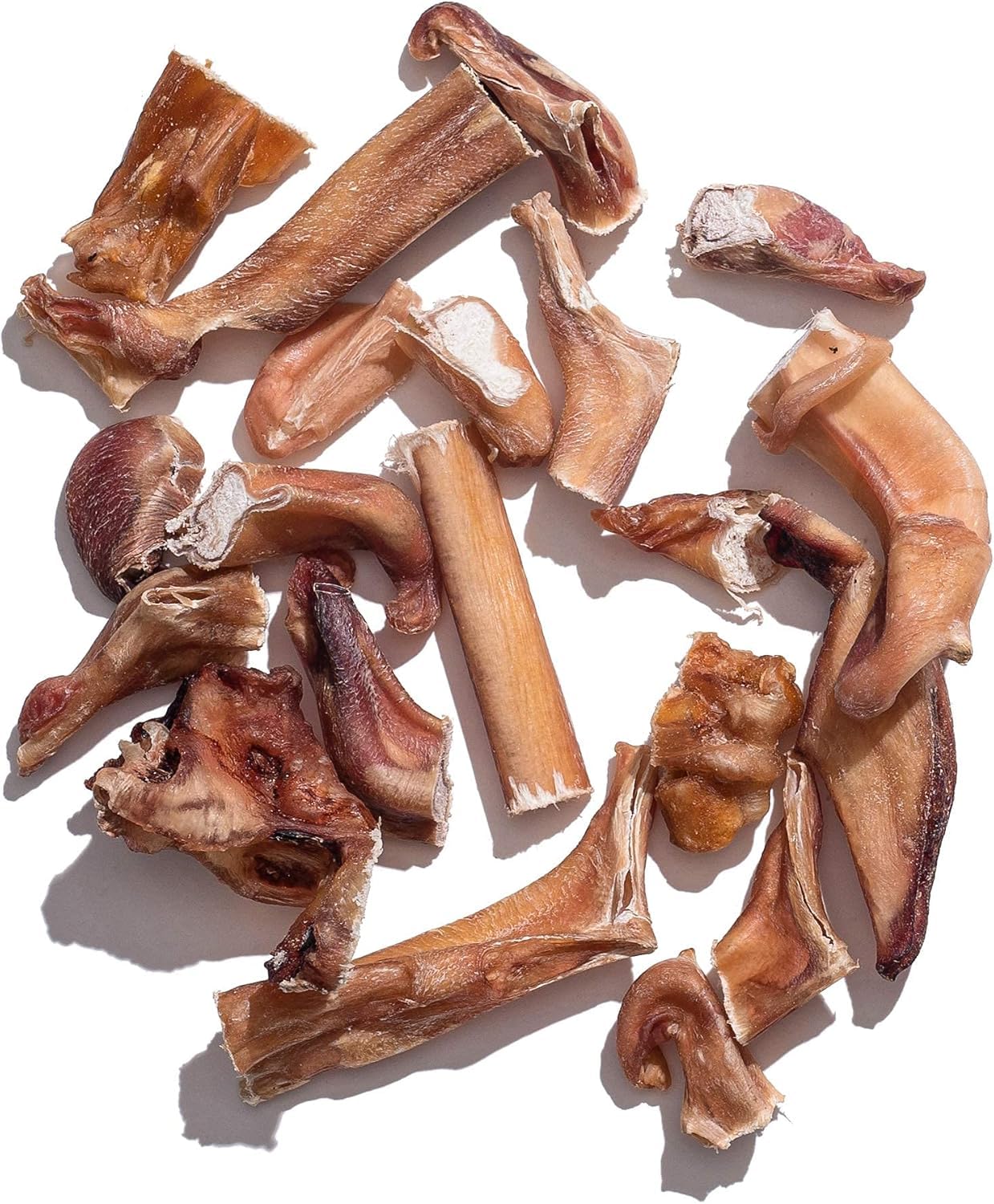 Variétés de formes Jack&Pup bouchees boeuf pour varier la mastication.