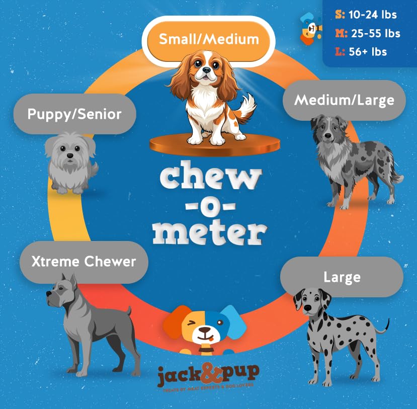 Jack&Pup bully 6 pouces grande taille: idéale pour sessions de mastication.