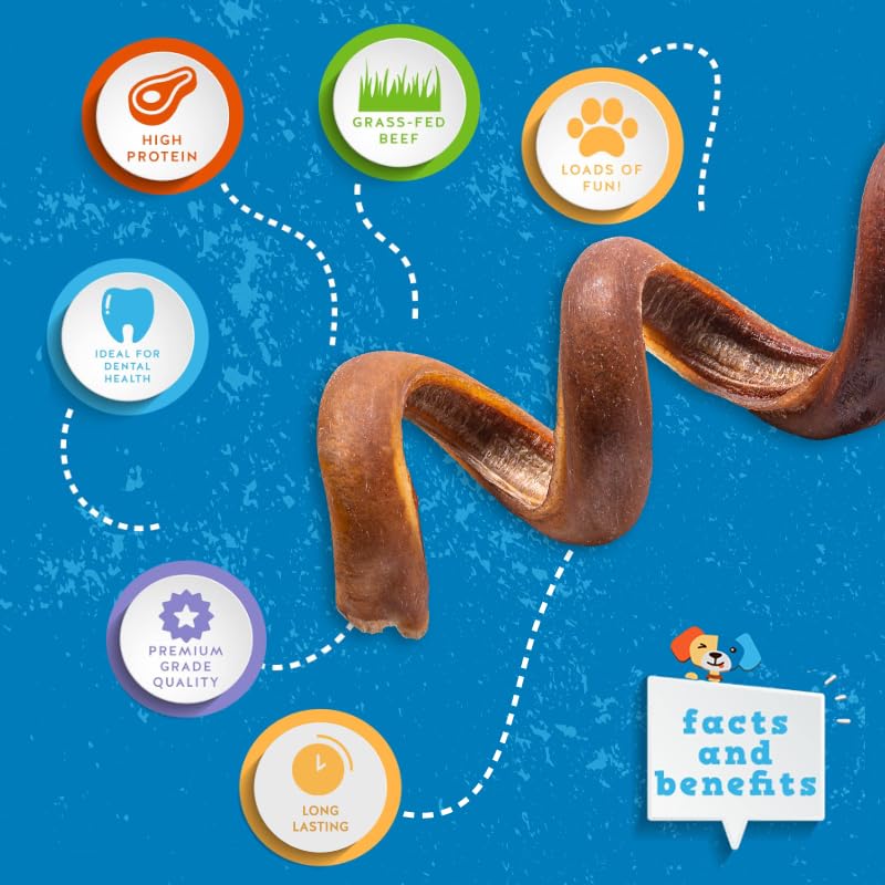 Jack&Pup Bully Springs, spirale pour stimulation mentale et plaisir durable.
