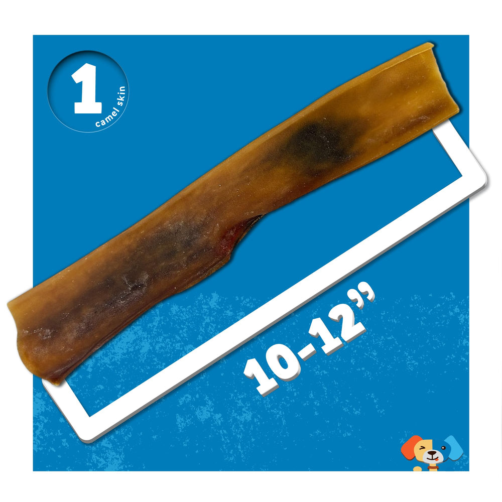JackPup ensemble 6 batonnet: mastication longue pour mâchoires fortes