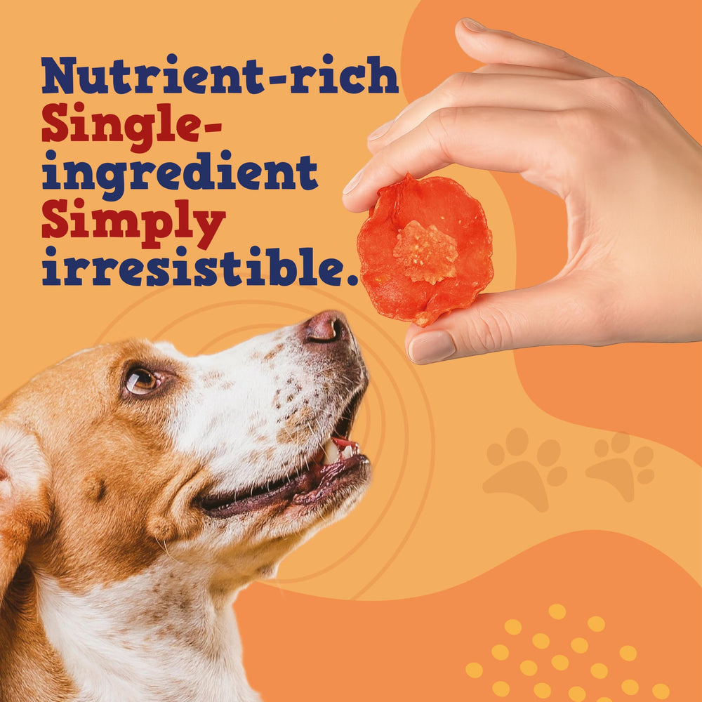 Collation saine Jack&Pup Just Carrot Chews, alternative sûre au snack dur.