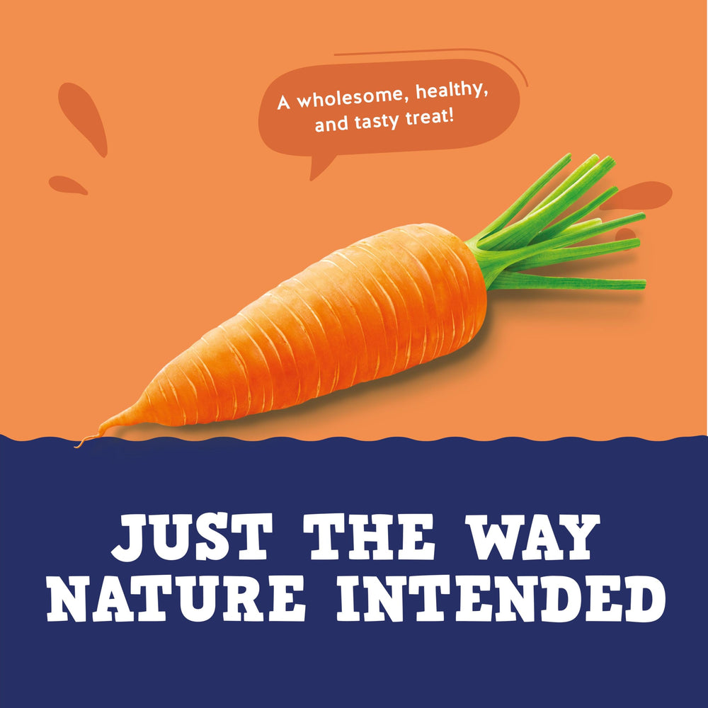 Récompense d’entraînement avec Jack&Pup Just Carrot Chews, faible en calories.