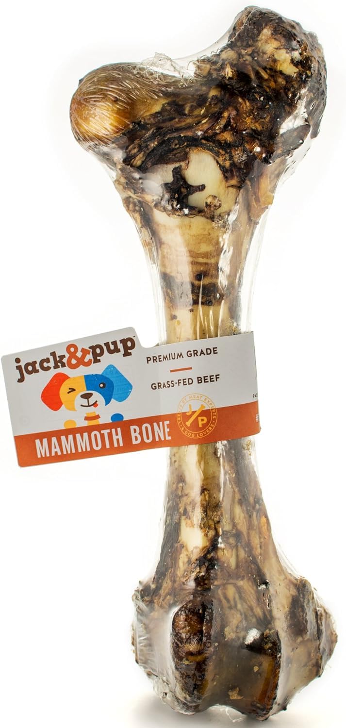 Jack&Pup os mammouth 15 pouces, texture robuste pour chiens puissants.