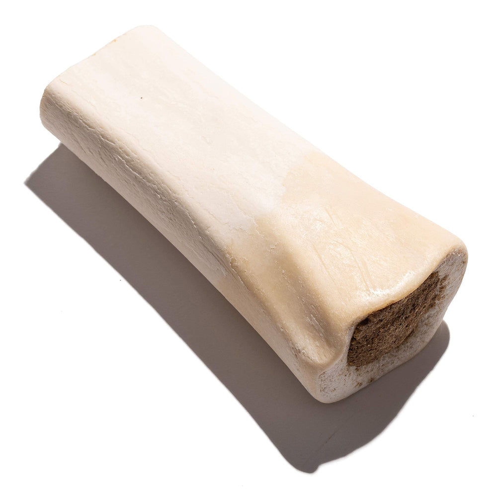 Jack&Pup usage supervision lors de la mastication d'un os