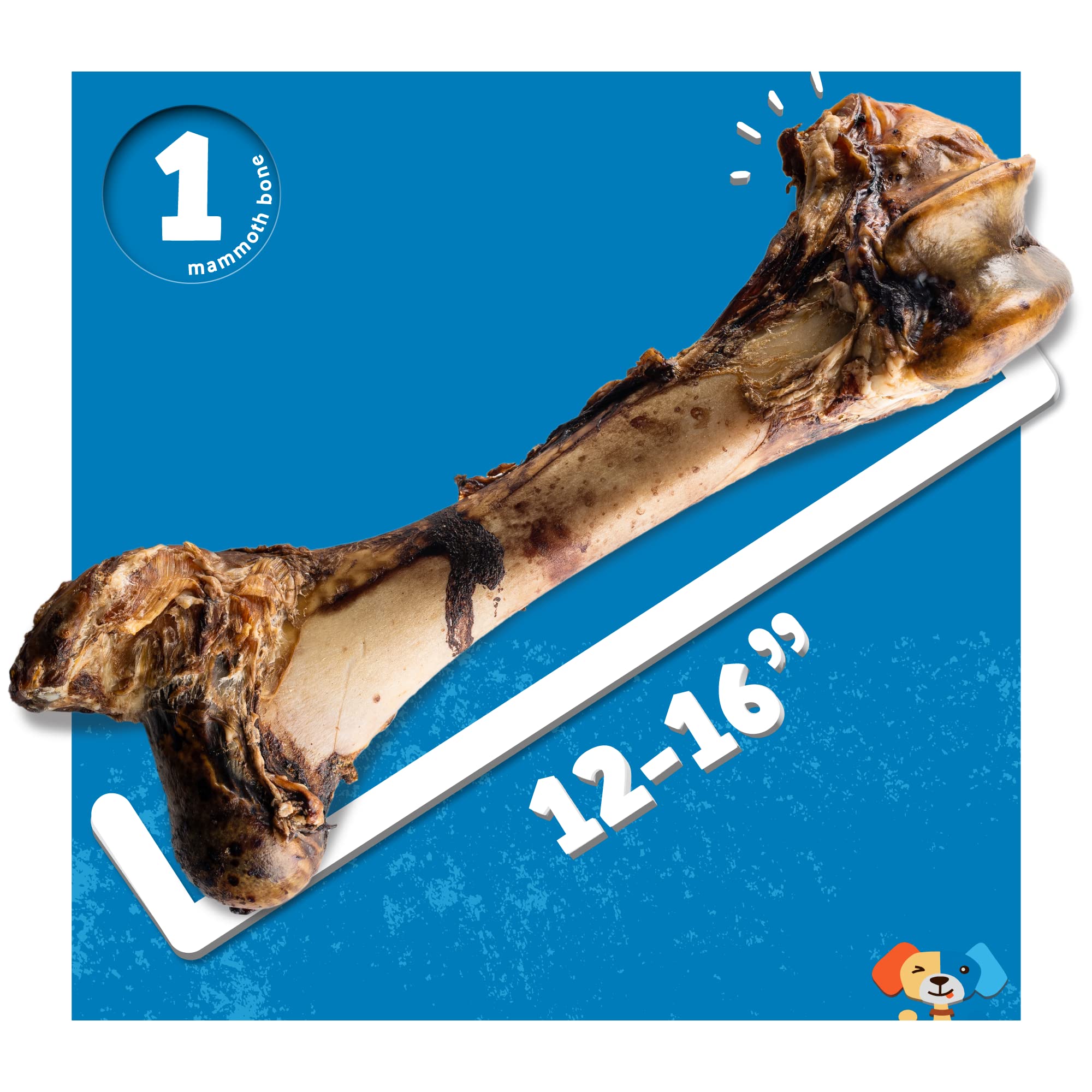 Richesse en vitamines et minéraux Jack&Pup, soutien nutritionnel sans additifs.