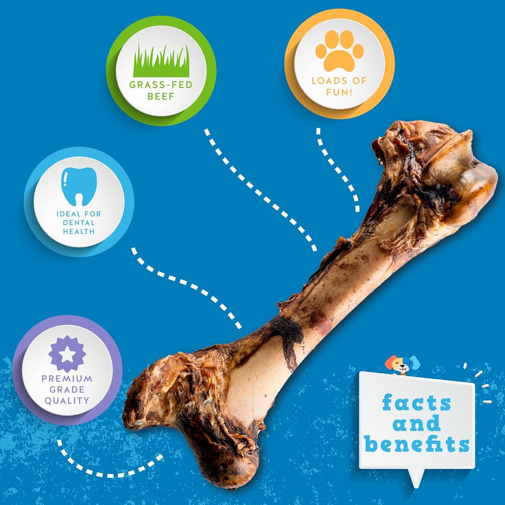 Texture riche en viande Jack&Pup, expérience sensorielle lors de la mastication.