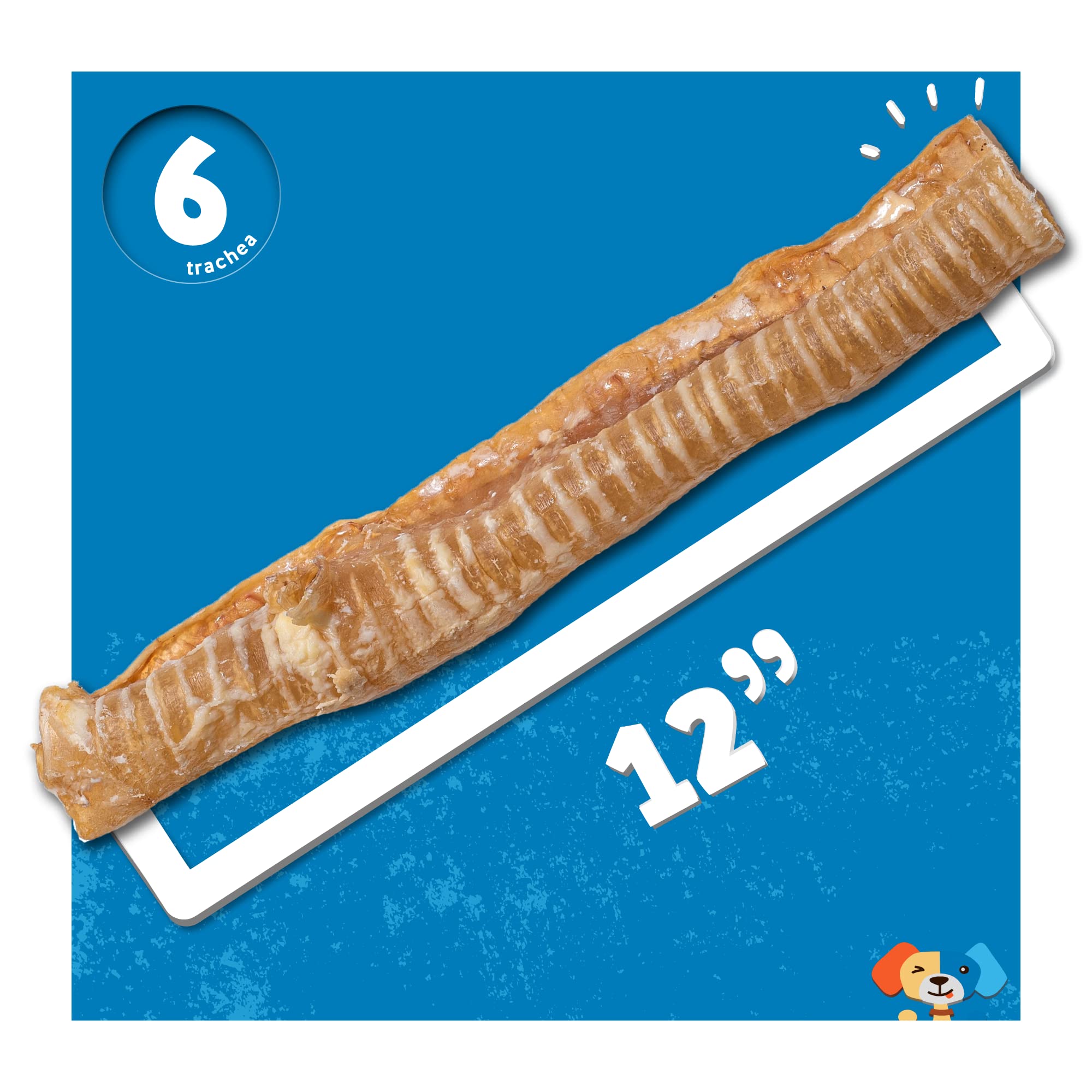 Sans additifs Jack&Pup trachée boeuf 12 pouces