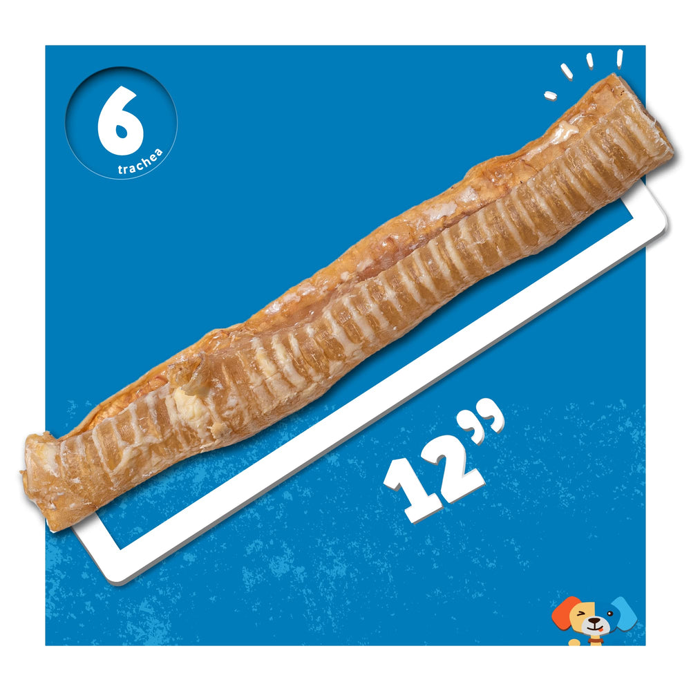 Sans additifs Jack&Pup trachée boeuf 12 pouces