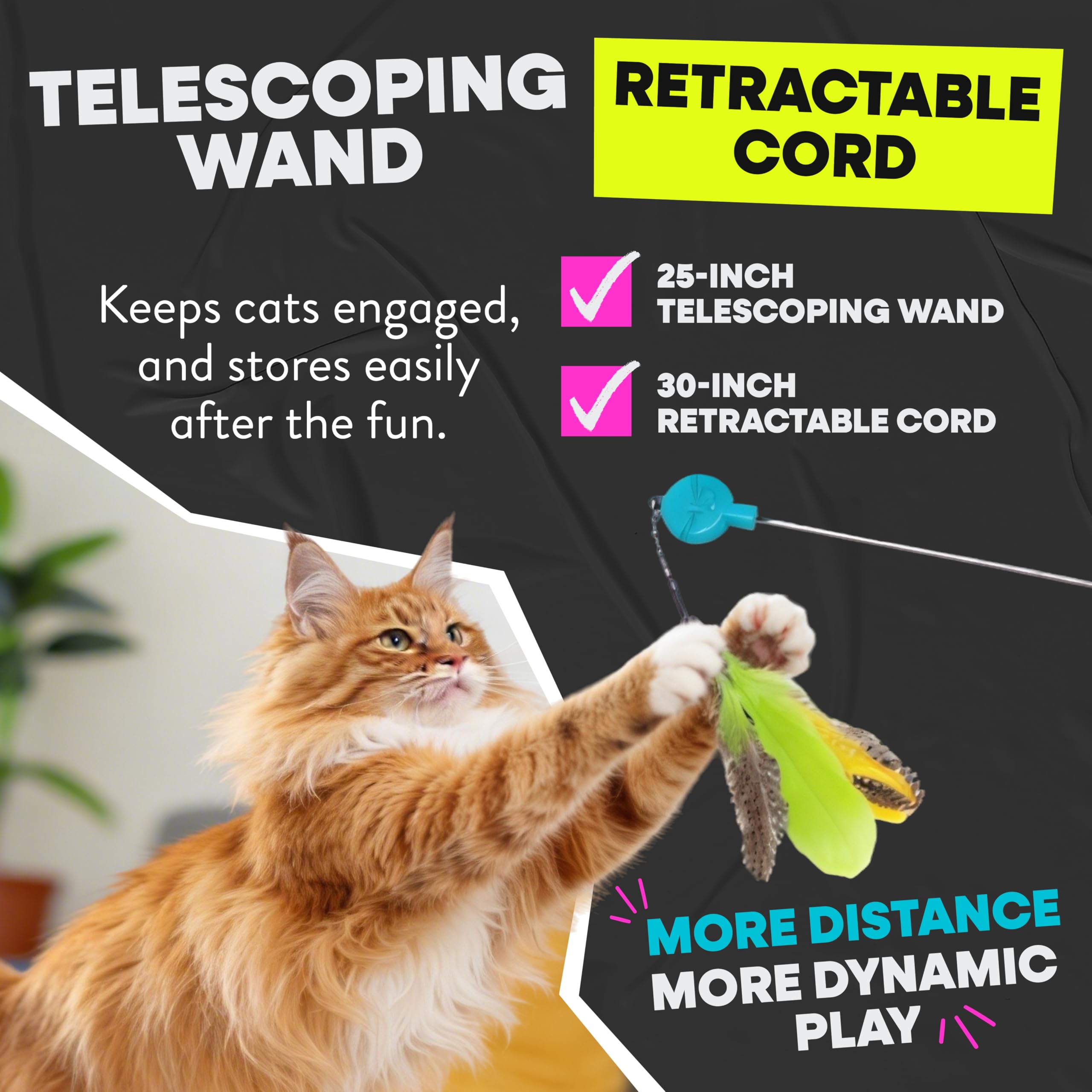 Jackson Galaxy Gotcha! Chat mouvement imprevisible améliore coordination et curiosité