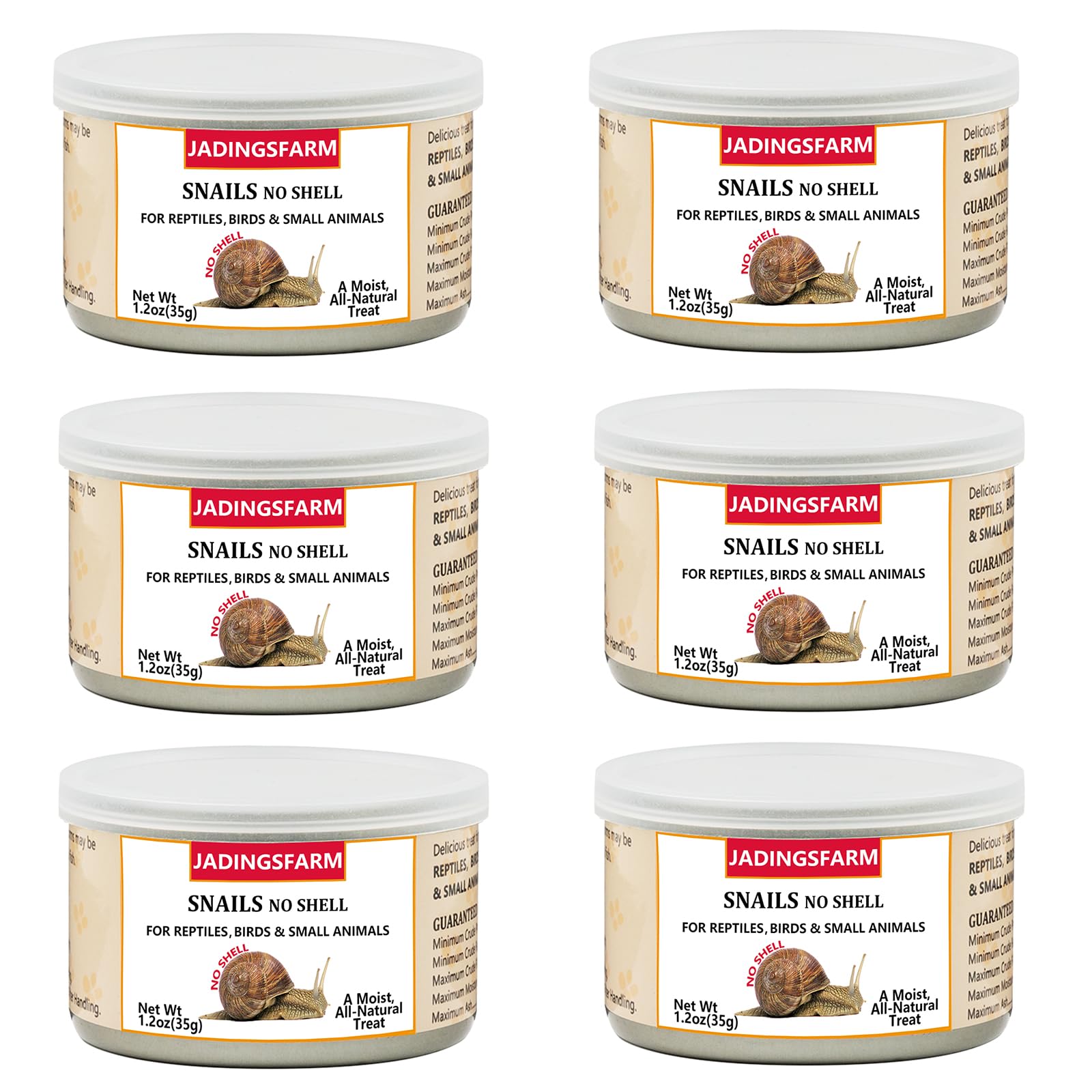 JADINGSFARM - Boîte d'escargots pour reptiles, option pratique et protéinée.