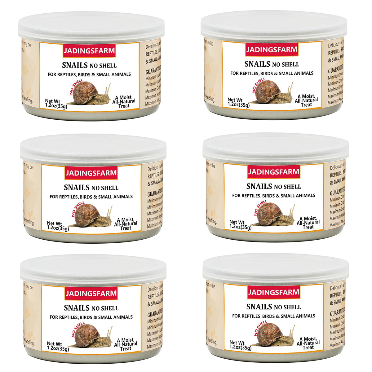 JADINGSFARM - Boîte d'escargots pour reptiles, option pratique et protéinée.