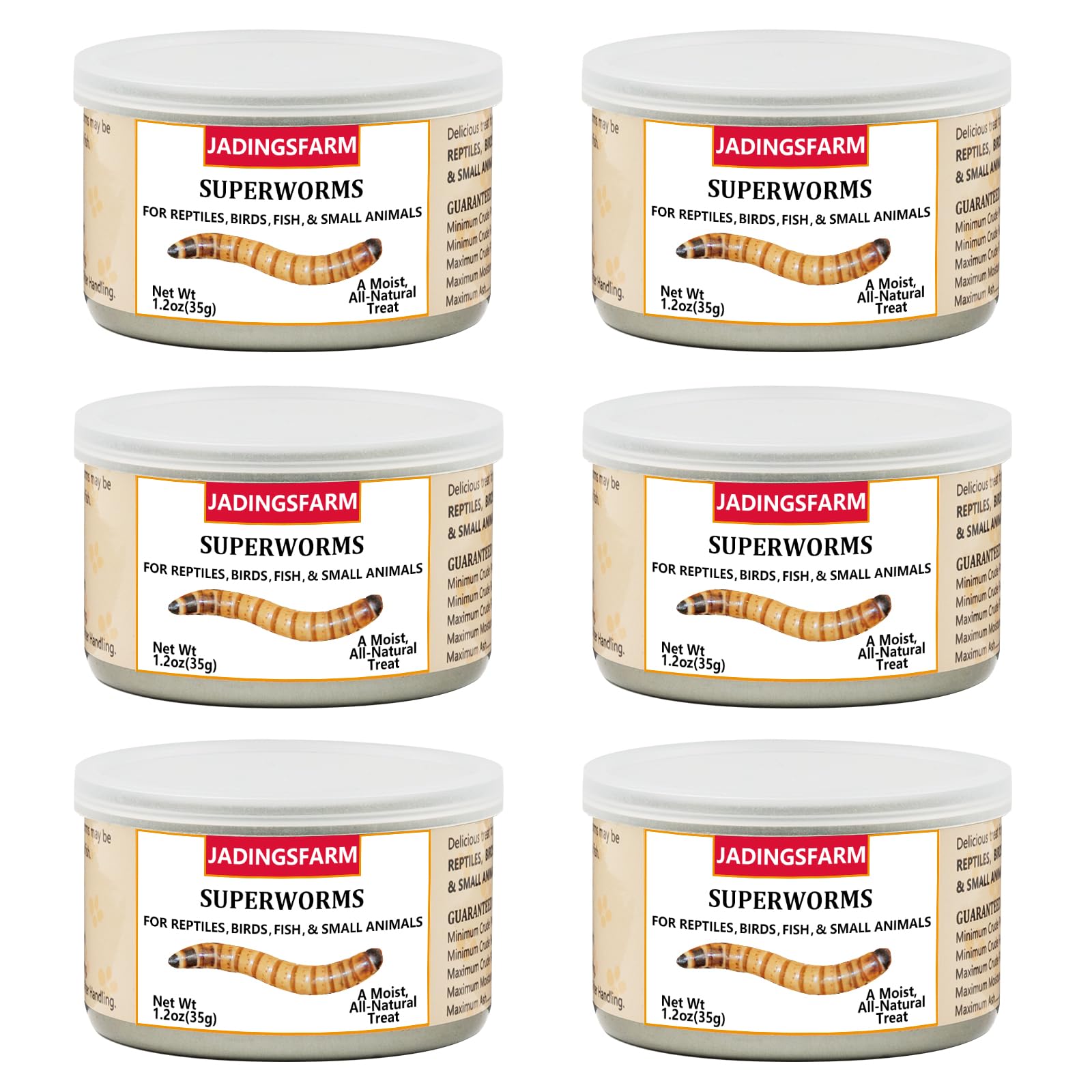 JADINGSFARM superworms boîte fermée, source pratique de protéines pour reptiles et oiseaux