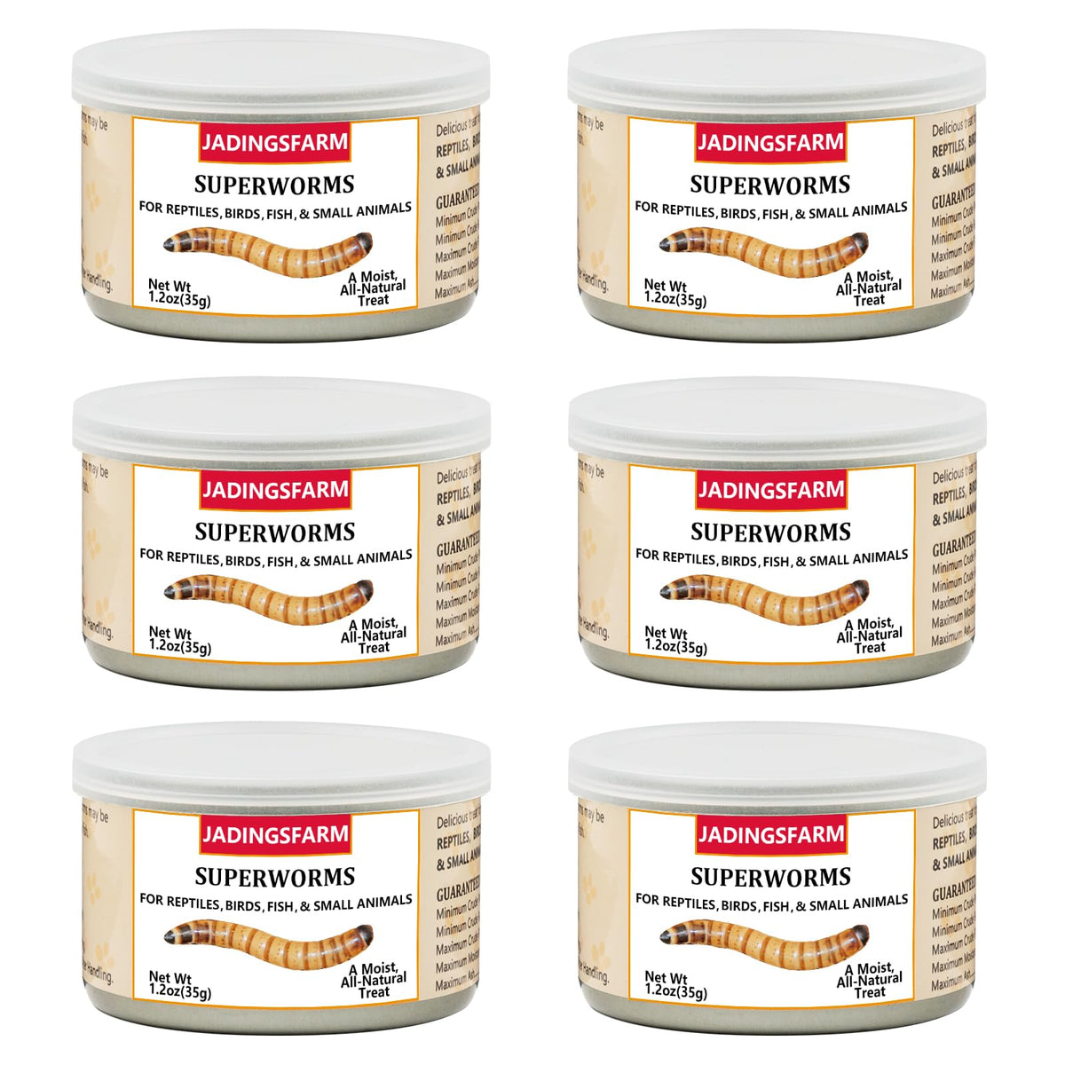 JADINGSFARM superworms boîte fermée, source pratique de protéines pour reptiles et oiseaux