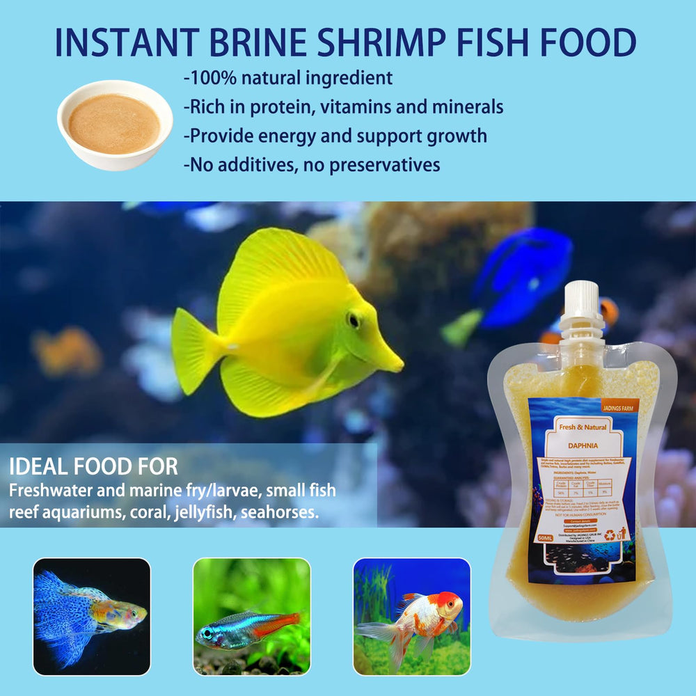 JADINGSFARM Daphnie – prêt à nourrir directement les poissons dans l’aquarium.