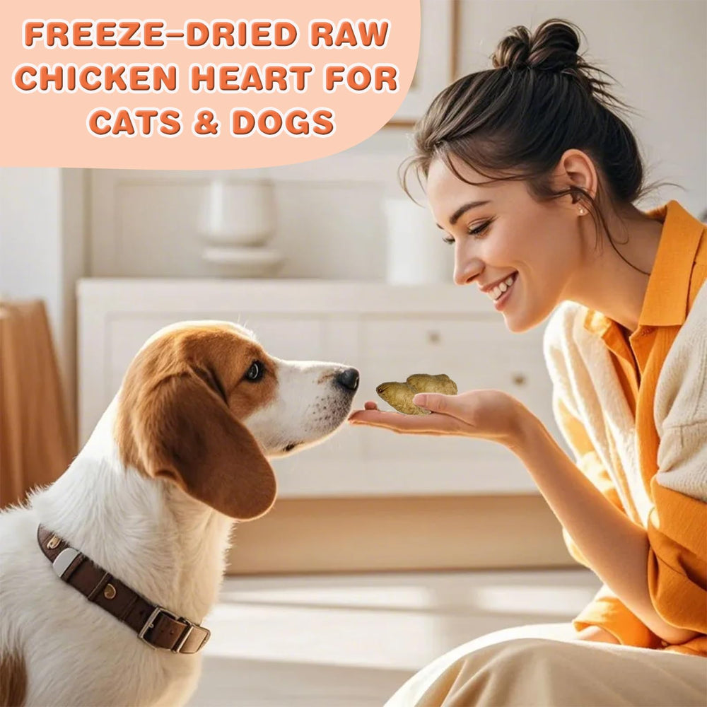 Convient aux animaux actifs, qualité nutritionnelle élevée et absence de gluten.