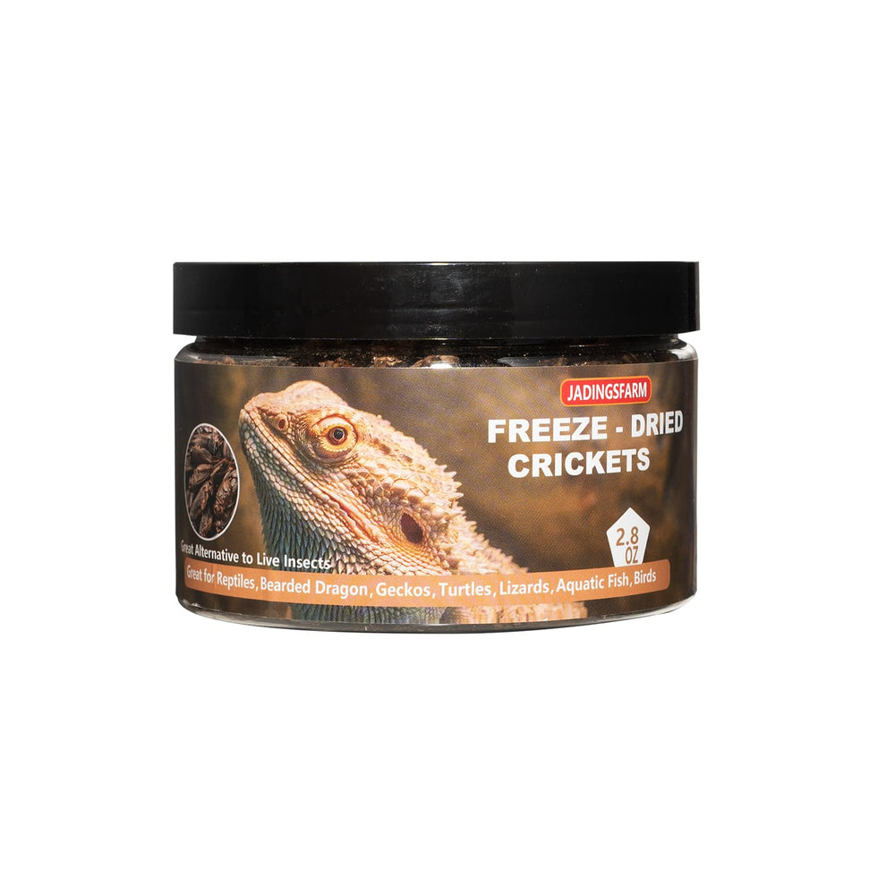 JADINGSFARM Grillons lyophilisés en bocal – friandise protéinée pour reptiles.