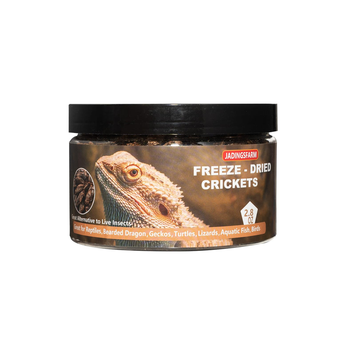 JADINGSFARM Grillons lyophilisés en bocal – friandise protéinée pour reptiles.