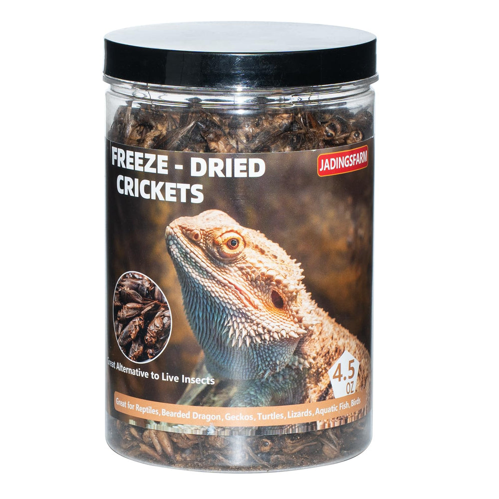 JADINGSFARM Grillons lyophilisés: emballage pratique pour des snacks protéinés chez les reptiles.