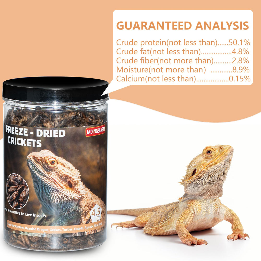 JADINGSFARM Grillons lyophilisés: portion idéale pour nourrir les reptiles et poissons.