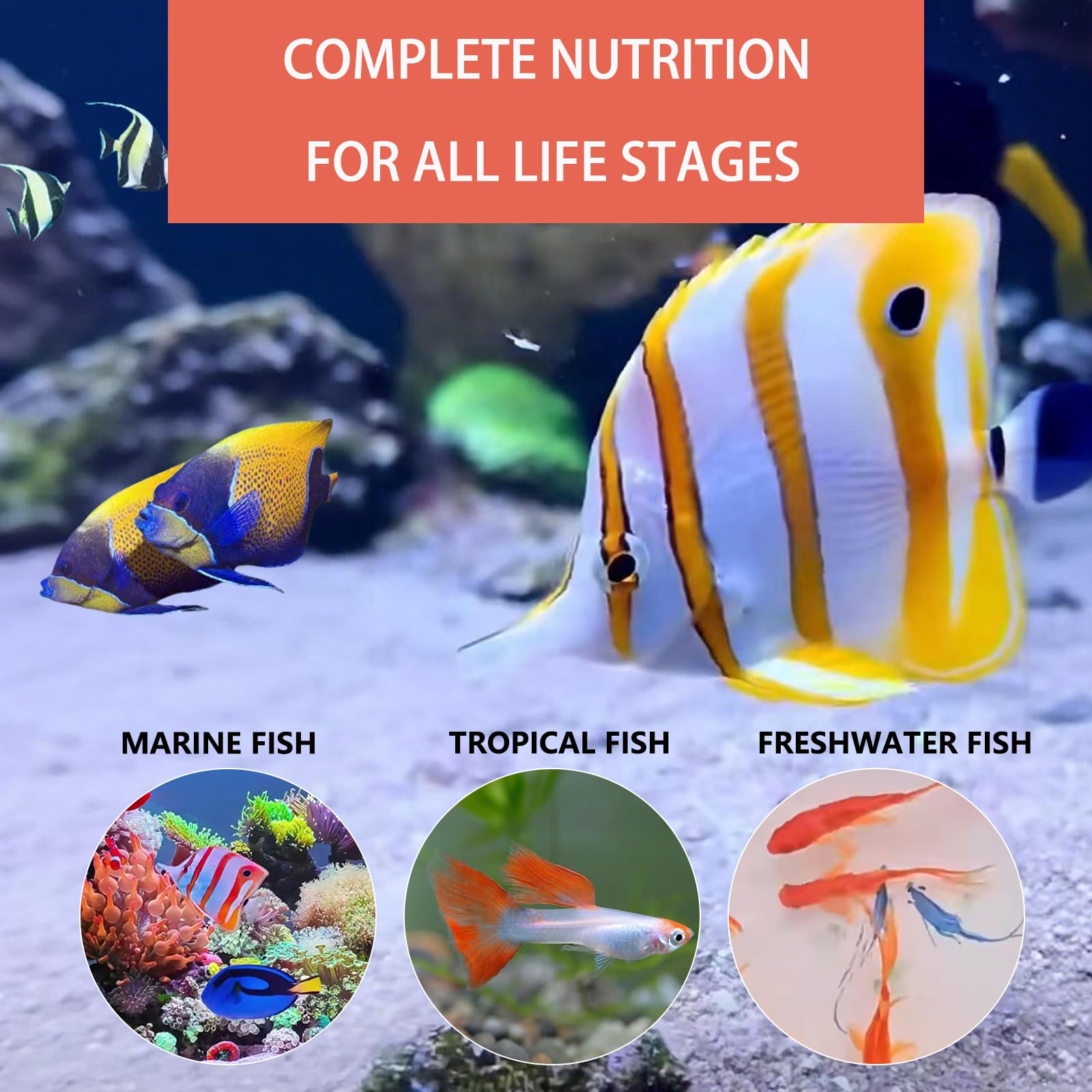 JADINGSFARM - Idéal pour les alevins et poissons tropicaux, particules fines digestibles.