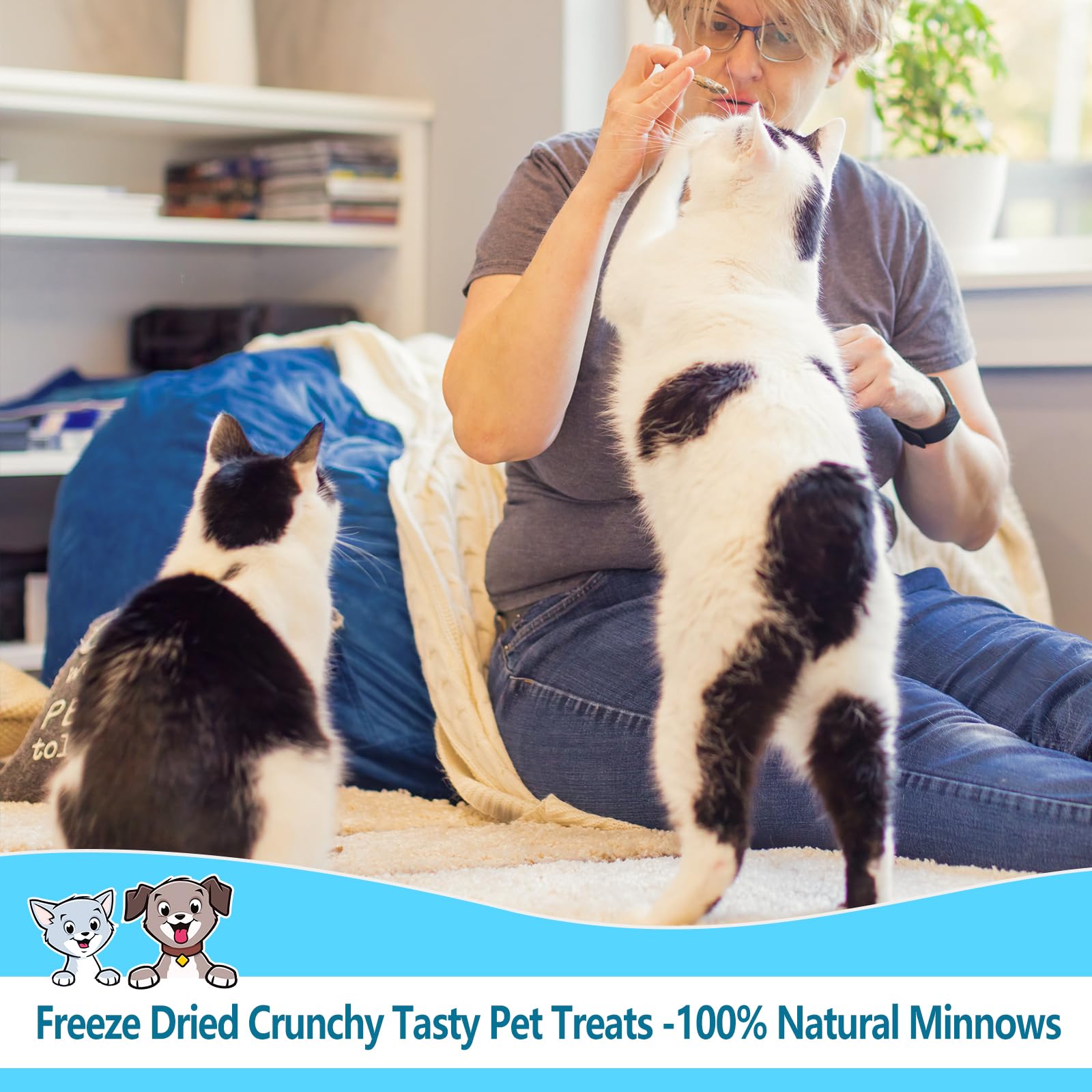 JADINGSFARM Minnows convient chien et chat, alimentation enrichie en calcium et protéines.