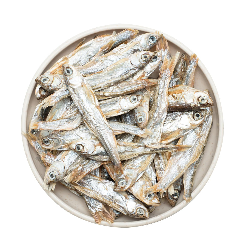 JADINGSFARM Minnows – poche pratique pour une conservation et une utilisation faciles.